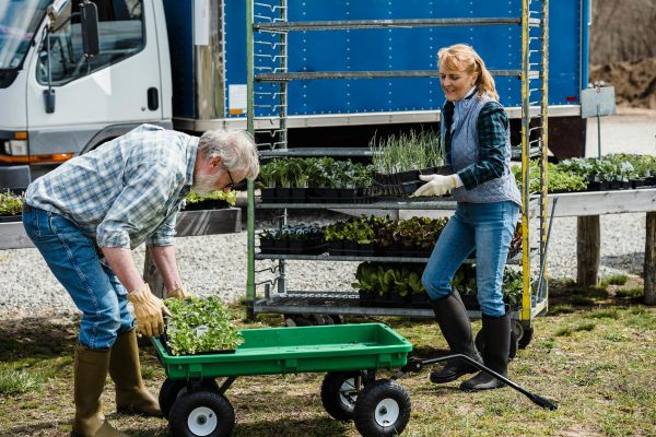 Landscape gardeners